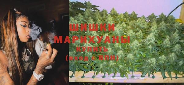 наркотики Бородино