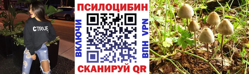 Псилоцибиновые грибы Magic Shrooms Курган