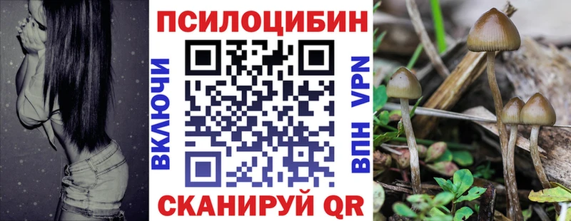 Галлюциногенные грибы мицелий  Курган 