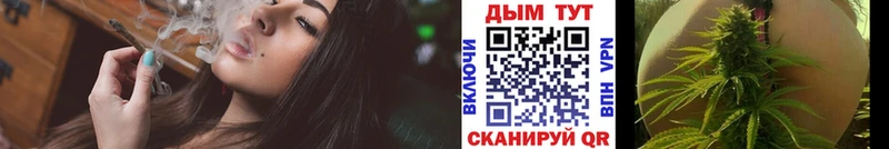 Бошки марихуана сатива  купить наркоту  Курган 